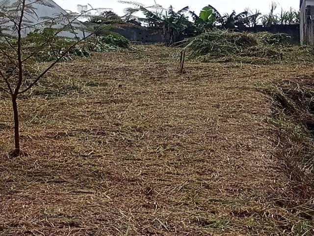 #233 - Área para Venda em Mogi das Cruzes - SP - 2